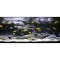 Preview: ARSTONE 3-D ROCK S 90x56x14cm (GREY GNEISS)