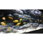 Preview: ARSTONE 3-D Filterverkleidung ST47 47x17x15cm (BASALT GNEISS)
