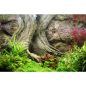 Preview: ARSTONE AMAZONAS 100x50 (BASALT GNEISS)