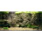 Preview: ARSTONE BORNEO 80x40 (BASALT GNEISS)