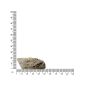 Preview: ARSTONE 3-D ROCK M0 85x48x20cm (BASALT GNEISS)