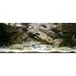 Preview: ARSTONE 3-D ROCK S 90x56x14cm (GREY GNEISS)