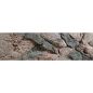 Preview: ARSTONE ROCKY 120x50 (BASALT GNEISS)