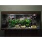 Preview: ARSTONE SUMATRA 120x50 (BASALT GNEISS)