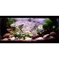 Preview: ARSTONE SUMATRA 120x50 (BASALT GNEISS)