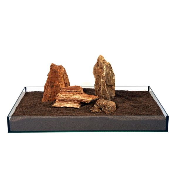VERSTEINERTES HOLZ