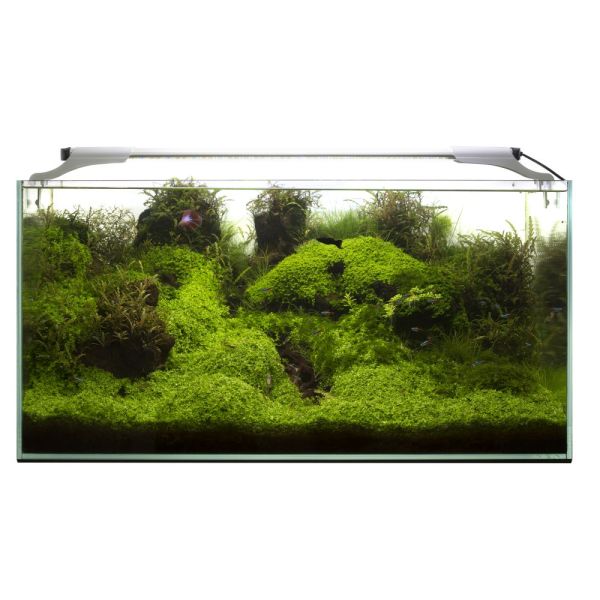 Preview: AQUAEL LEDDY SLIM SUNNY 36W (Black)