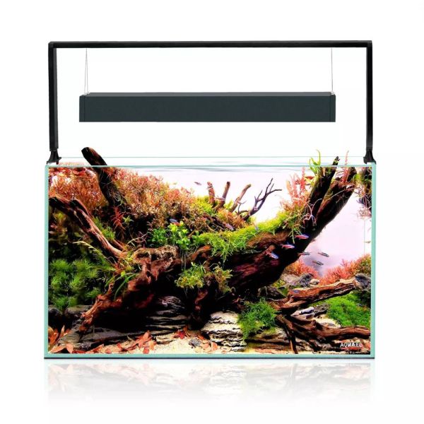 Preview: AQUAEL ULTRASCAPE 60 FOREST (60x30x36cm / 65l)