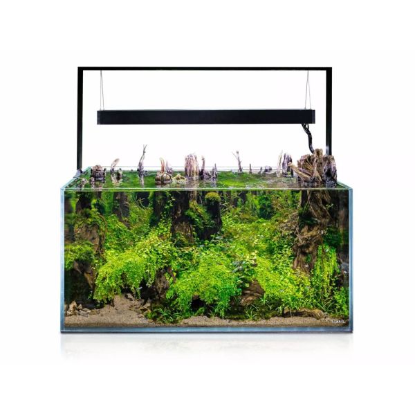 Preview: AQUAEL ULTRASCAPE 90 FOREST (90x60x45cm / 243l)