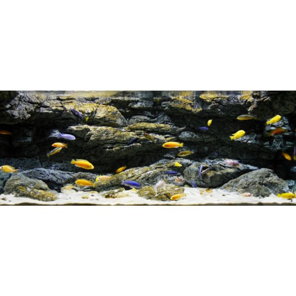 ARSTONE ALIMAR 200x60 (BASALT GNEISS)