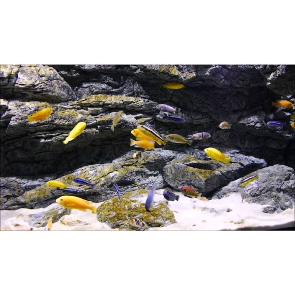 ARSTONE ALIMAR 130x60 (BASALT GNEISS)