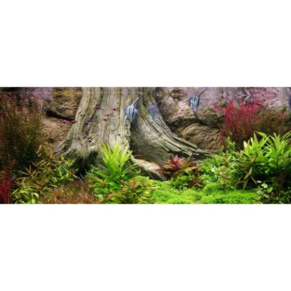 Preview: ARSTONE AMAZONAS 100x50 (BASALT GNEISS)
