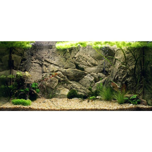 Preview: ARSTONE BORNEO 80x40 (BASALT GNEISS)