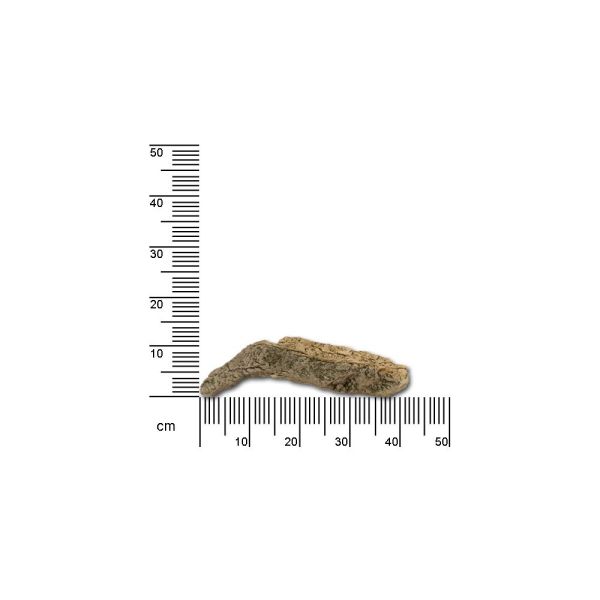 ARSTONE 3-D ROCK X0 44x18x13cm (BASALT GNEISS)