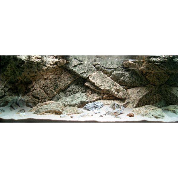ARSTONE ROCKY 100x50 (BASALT GNEISS)
