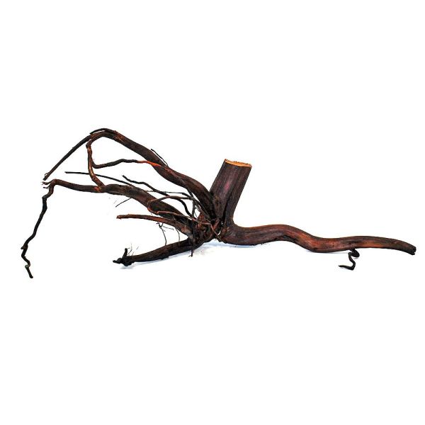 MOORKIENHOLZ EXTRA FILIGRAN (Grösse 2)