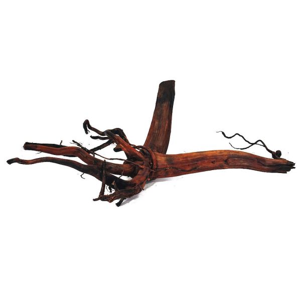 MOORKIENHOLZ EXTRA FILIGRAN (Grösse 5)