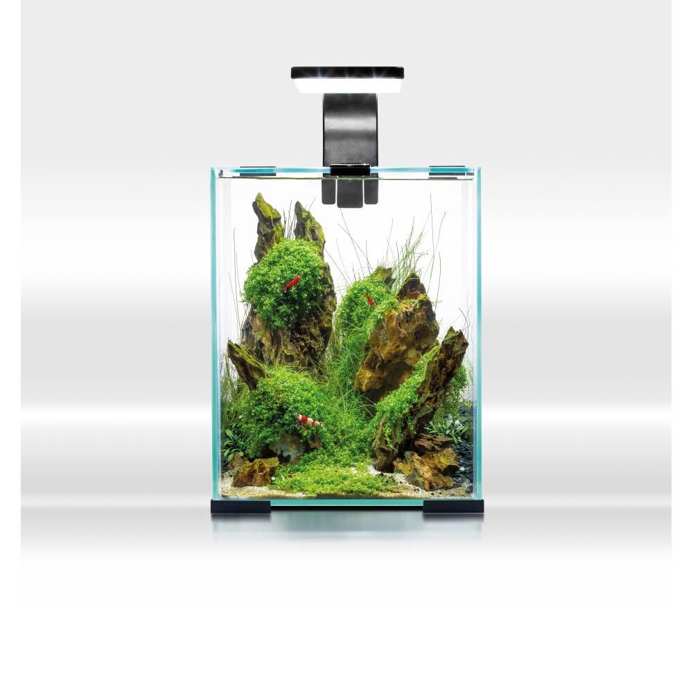 AQUAEL SHRIMP SET DAY & NIGHT 10 (Black)