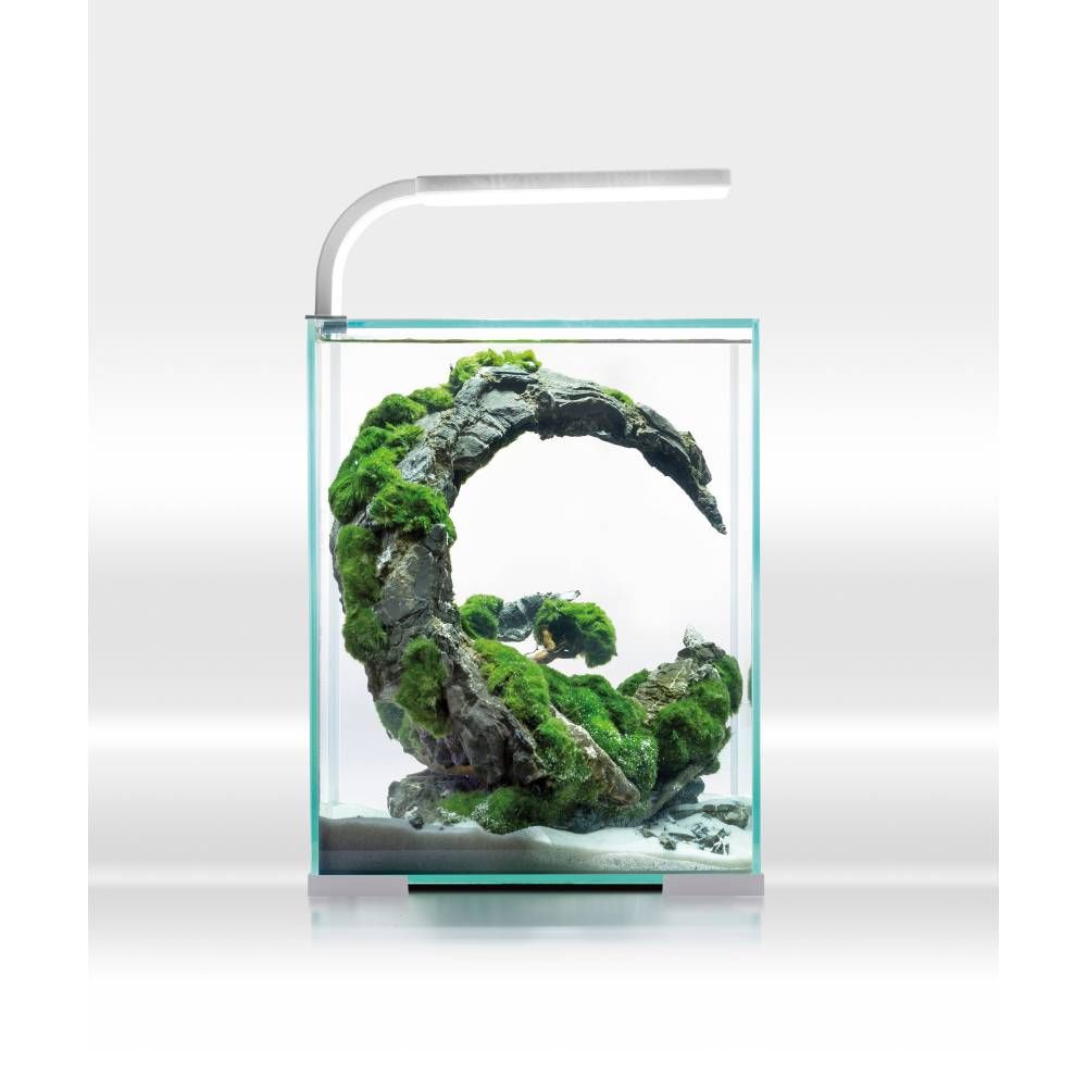 AQUAEL SHRIMP SET DAY & NIGHT 10 (White)