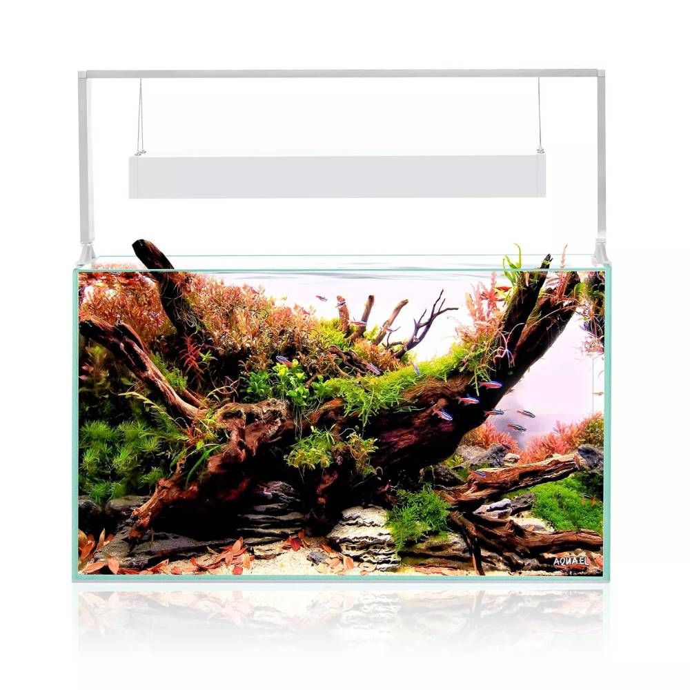 AQUAEL ULTRASCAPE 60 SNOW (60x30x36cm / 65l)
