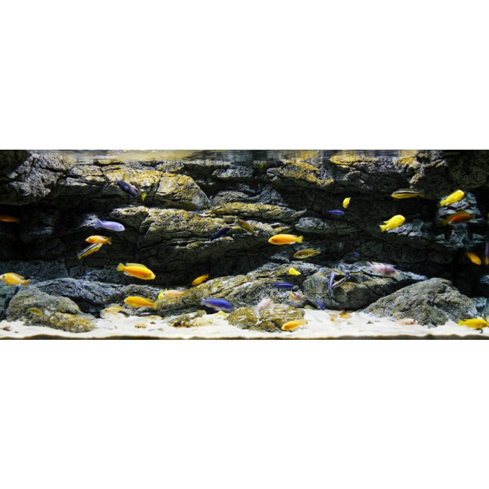 ARSTONE ALIMAR 250x70 (BASALT GNEISS)