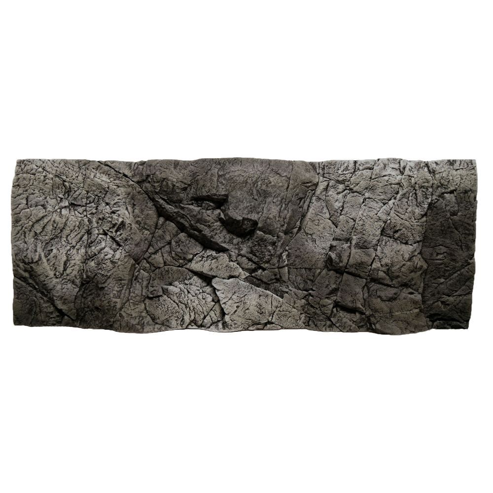 ARSTONE BORNEO 100x50 (GREY GNEISS)