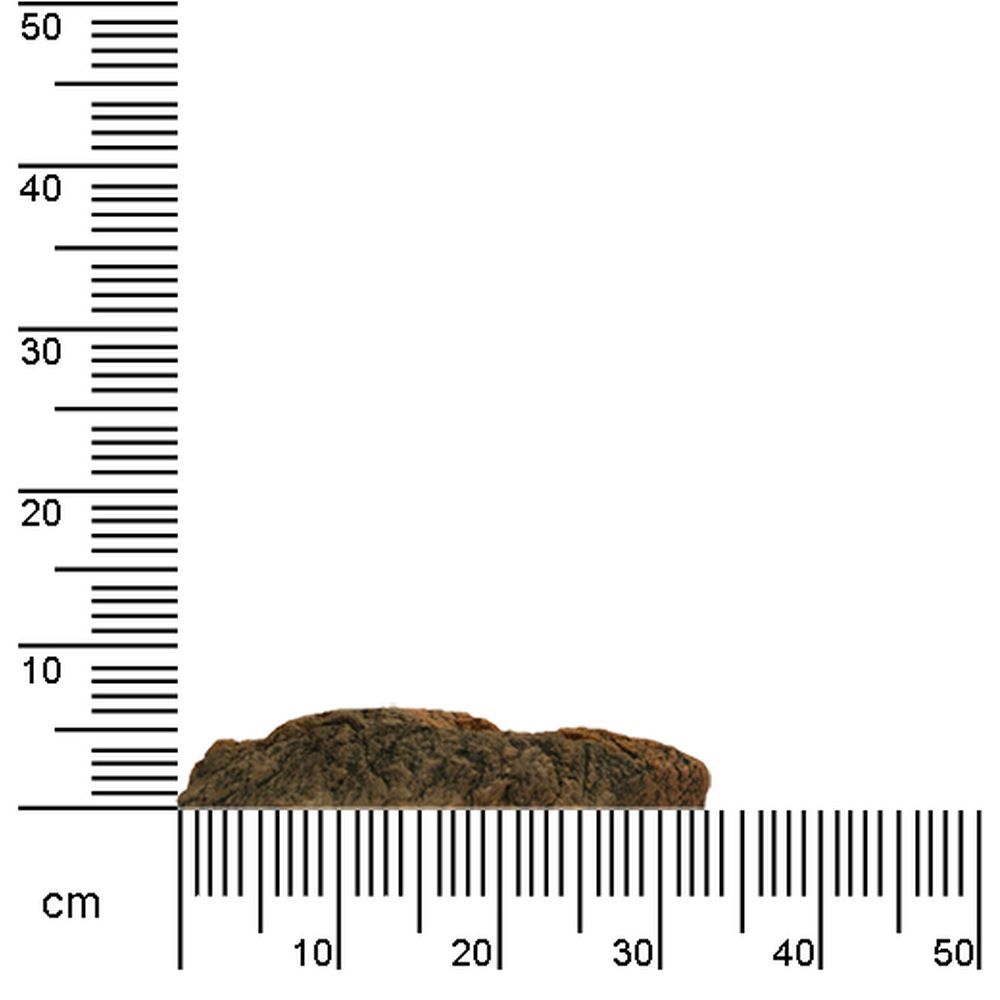 ARSTONE 3-D ROCK X 36x19x6cm (BASALT GNEISS)