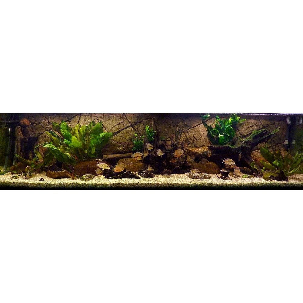 ARSTONE SLIMLINE XL A80 (GREY GNEISS)