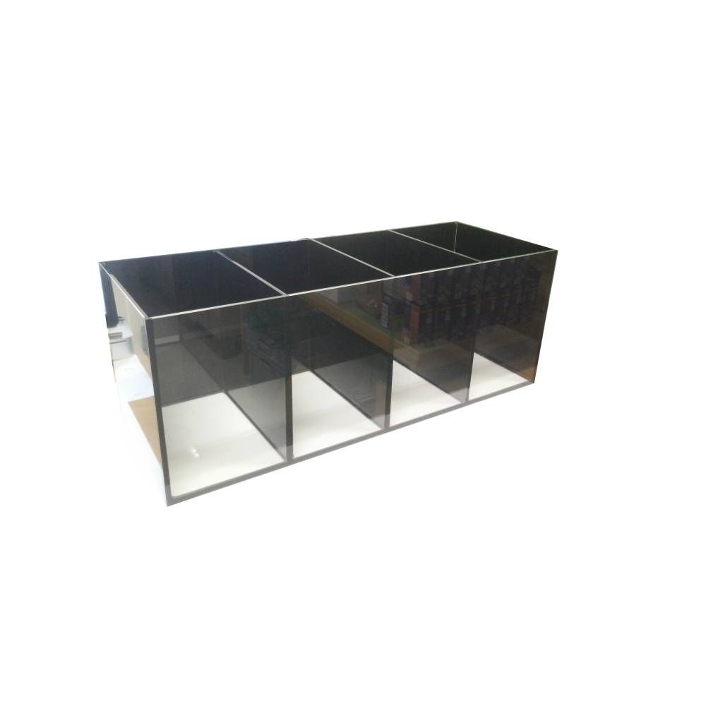 RECHTECKAQUARIUM 80x30x30cm (mit vier Kammern)